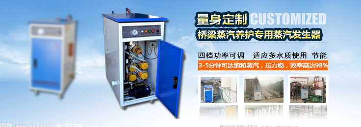 路橋養護蒸汽發生器