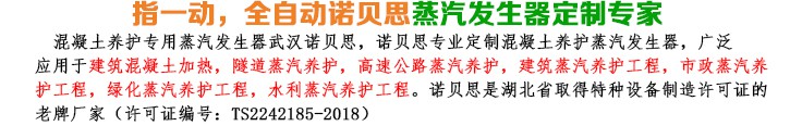 橋梁養護18kw小型蒸汽發生器簡介